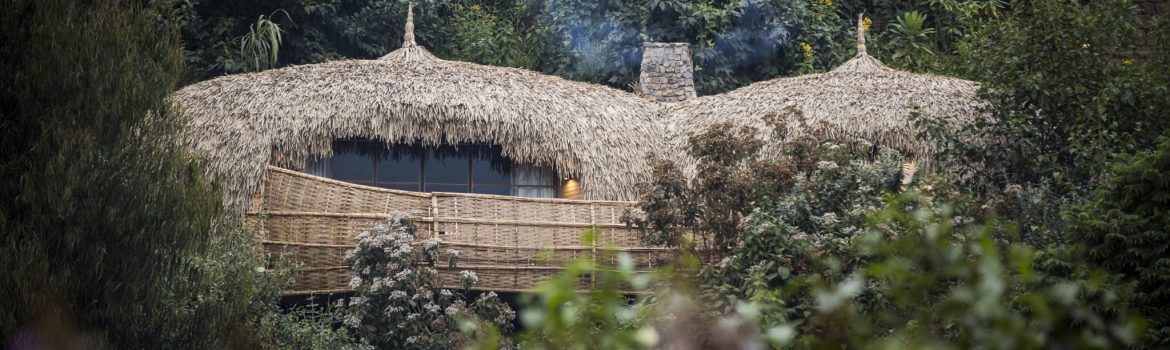 Top Safari Lodges in Rwanda: Where to Stay for Gorilla Trekking and Wildlife Adventures